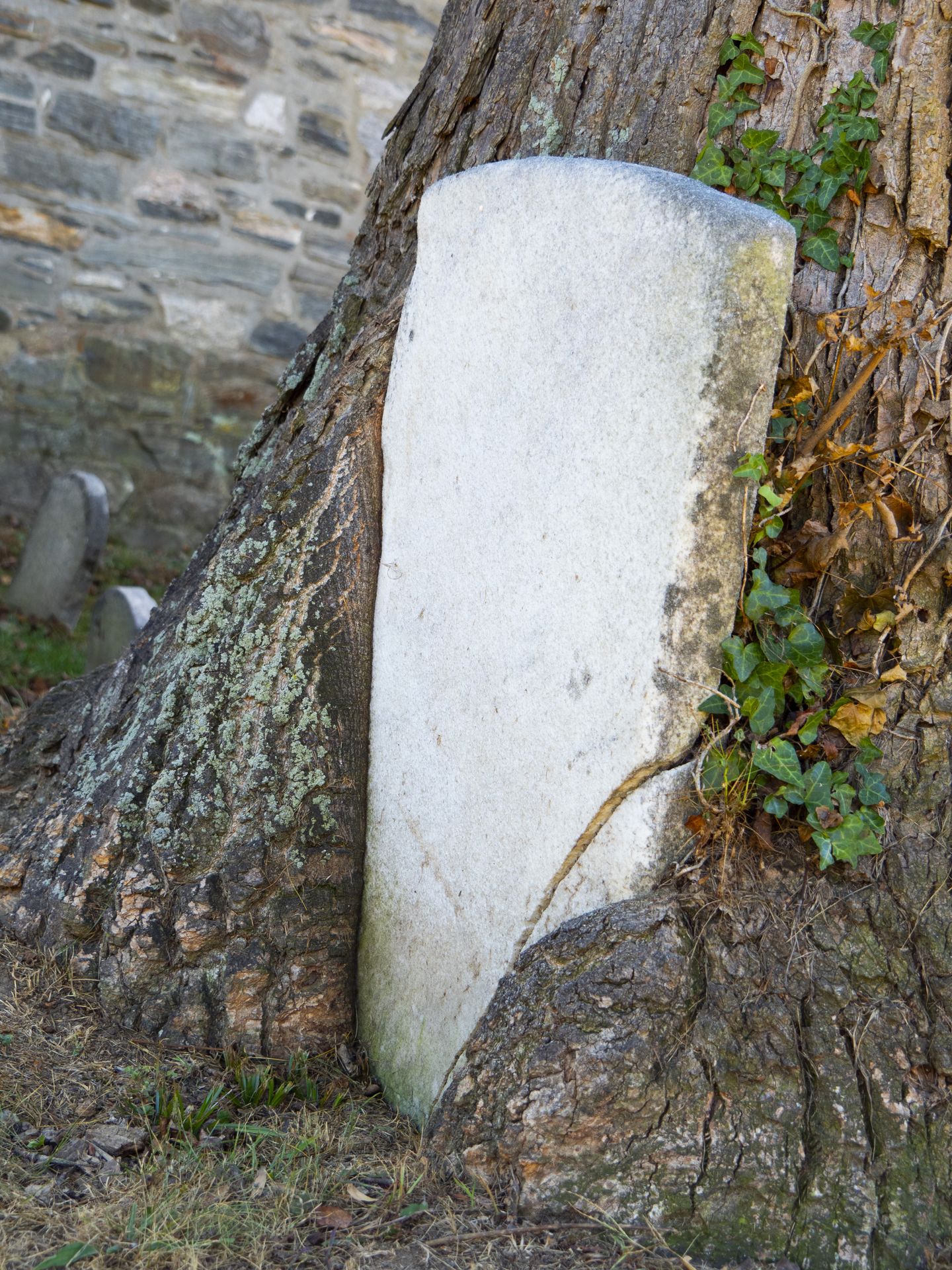 Engulfed Tomb Stone